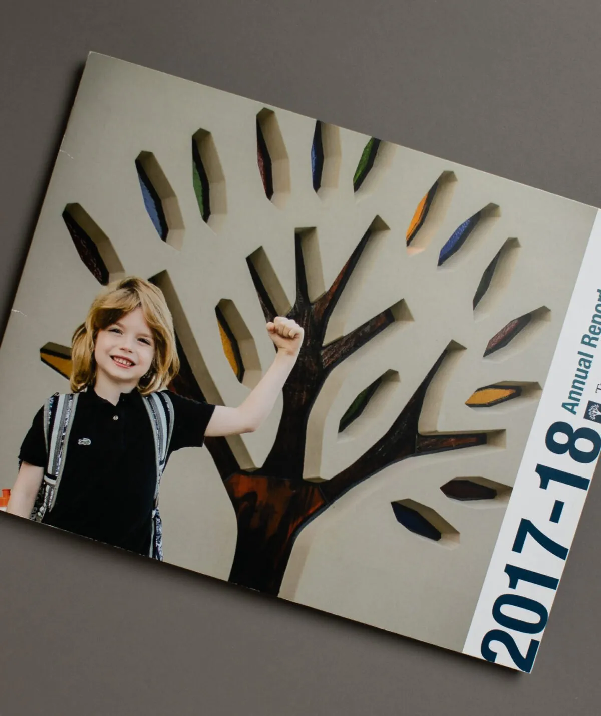 Fundraising Report Print Mail Project for Miami Valley School by Oregon Printing Dayton OH